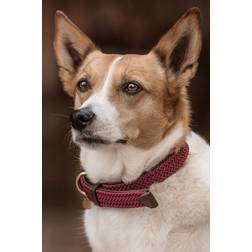 Kentucky Collier Pour Chien En Nylon Tressé - Rouge