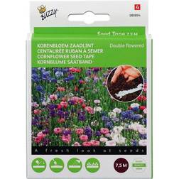 Buzzy Kornblomst frø, Double flowered mix- 7,5m Blomsterfrø