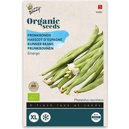 Buzzy Organic pralbønne Emergo White økologiske frø