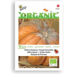 Buzzy Organic græskar Musquée de Provence frø Grøntsagsfrø
