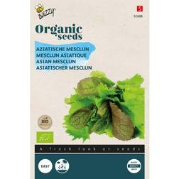Økologisk, Pluksalat frø, Asian mix Buzzy Grøntsagsfrø