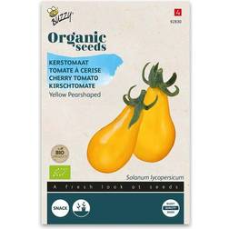 Buzzy Organic tomat gul Pearshaped økologiske frø