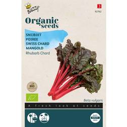 Økologisk, Bladbede frø, Rhubarb Chard Grøntsagsfrø