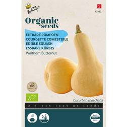 Økologisk, Vintersquash frø, Waltham Butternut Grøntsagsfrø