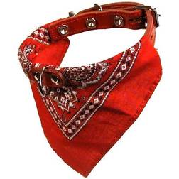 Gibbon Halsband med snusnäsduk Röd 22mm/55cm