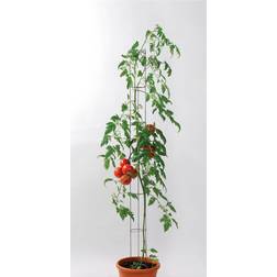 Bellissa Tomatenturm Höhe 120 cm Ø 9 cm