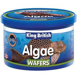 King British algae food aquarium