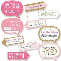 Funny 1st birthday girl fun to be one party photo booth props kit 10 piece