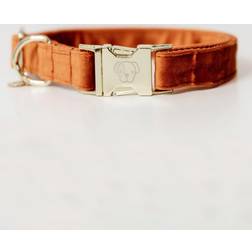 Kentucky Collier Pour Chien Velvet - Orange