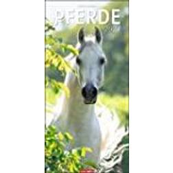 Pferde Kalender 2024