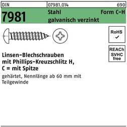 Reyher 070490190029006 Skruv RXS, FZB