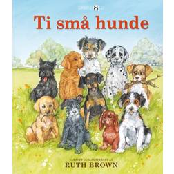 Ti små hunde Ritt Browm 9788775924356