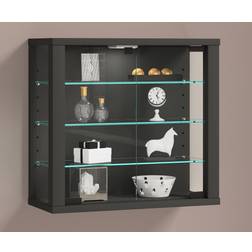 VCM Wall Display Case Vitrosa S Glass Cabinet