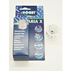 Hobby Planaria Fælde