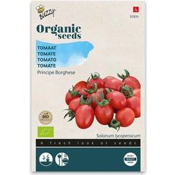 Buzzy Organic tomat Principe Borghese økologiske frø