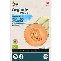 Buzzy Organic cantaloupemelon Charentais økologiske frø