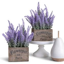 Butterfly Craze Artificial Lavender Plants