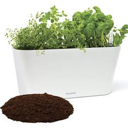 Window Garden Aquaphoric Herb Garden Tub Watering Planter Box Fiber