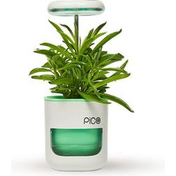 Pico Planter Garden Plant Grow Light. This Herb Growing Kit the Perfect