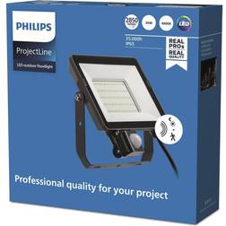 Philips Aussenwandleuchte, ProjectLine 8719514954533 Spotlight