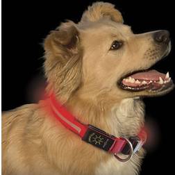 Nite Ize dawg led dog collar red