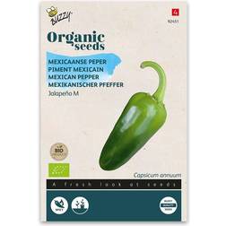 Buzzy Organic chilipeber meksikansk Jalapeno M økologiske frø