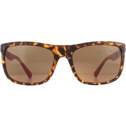 Guess Sunglasses GU6843 52H Dark Havana Polarized