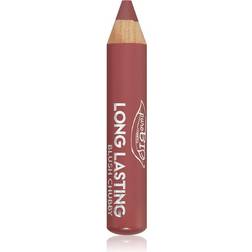 PuroBIO Long Lasting Blush Chubby 021L Cold Nude