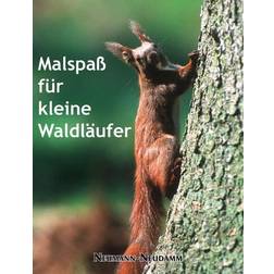 Malspaß für kleine Waldläufer