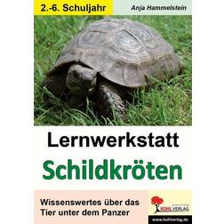 Lernwerkstatt Schildkröten