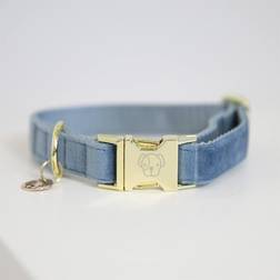 Kentucky Dogwear Dog Collar Velvet