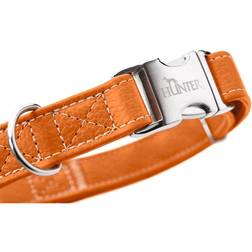 Hunter dog collar cannes aluminium strong