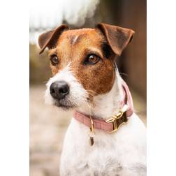 Kentucky Dogwear Dog Collar Velvet halsbånd