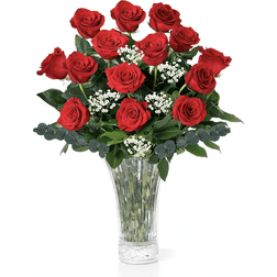 Aquarossa Farms Red Roses