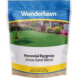 Barenbrug 71570 perennial ryegrass lawn blend 5 lbs