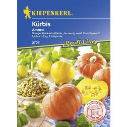 Kiepenkerl Kürbis Amoro Cucurbita