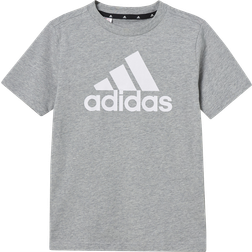 Adidas Essentials Big Logo Cotton Camiseta De Manga Corta Chicos - Gris Claro