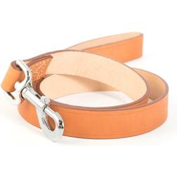 Ancol Leather dog lead 1" 3/4" tan leather with colour trigger hook