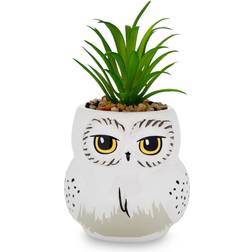 Silver Buffalo Harry Potter Hedwig Topf mit Pflanze
