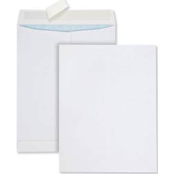 Quality Park Security Envelope Mailer: 13" OAW, 10" OAL #QUA44929