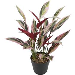 BigBuy Home Dekorativ 43 Paradisets Kunstig plante