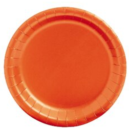 Fun Express Orange 7 Paper Plates 24Pc Party Supplies 24 Pieces