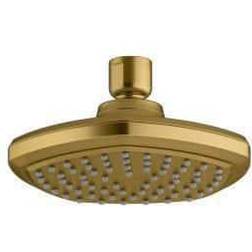 Kohler Occasion 1-Spray Patterns with Mount Fixed Shower Head Vibrant