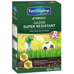 Fertiligene Gazon Super Résistant Tous Terrains 2 kg