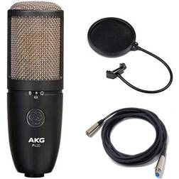 AKG P420 Large-Diaphragm Multipattern Condenser Microphone Black 3101H00430