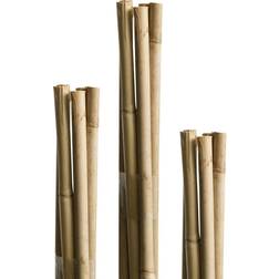 Windhager Blomsterpind Bambus 60 cm 10 Stk