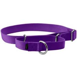 PetSafe Premier Martingale Dog Collar