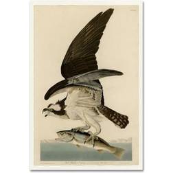 Trademark Fine Art Vault W 'Fish Hawk Or Osprey Plate on Wall Decor