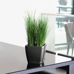 Lechuza Quadro LS 21 Interno Vaso a Cubo Libera Installazione Polipropilene PP Antracite Metallico ∅20cm