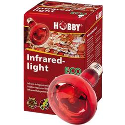 Hobby 37584 Infraredlight Eco, 70